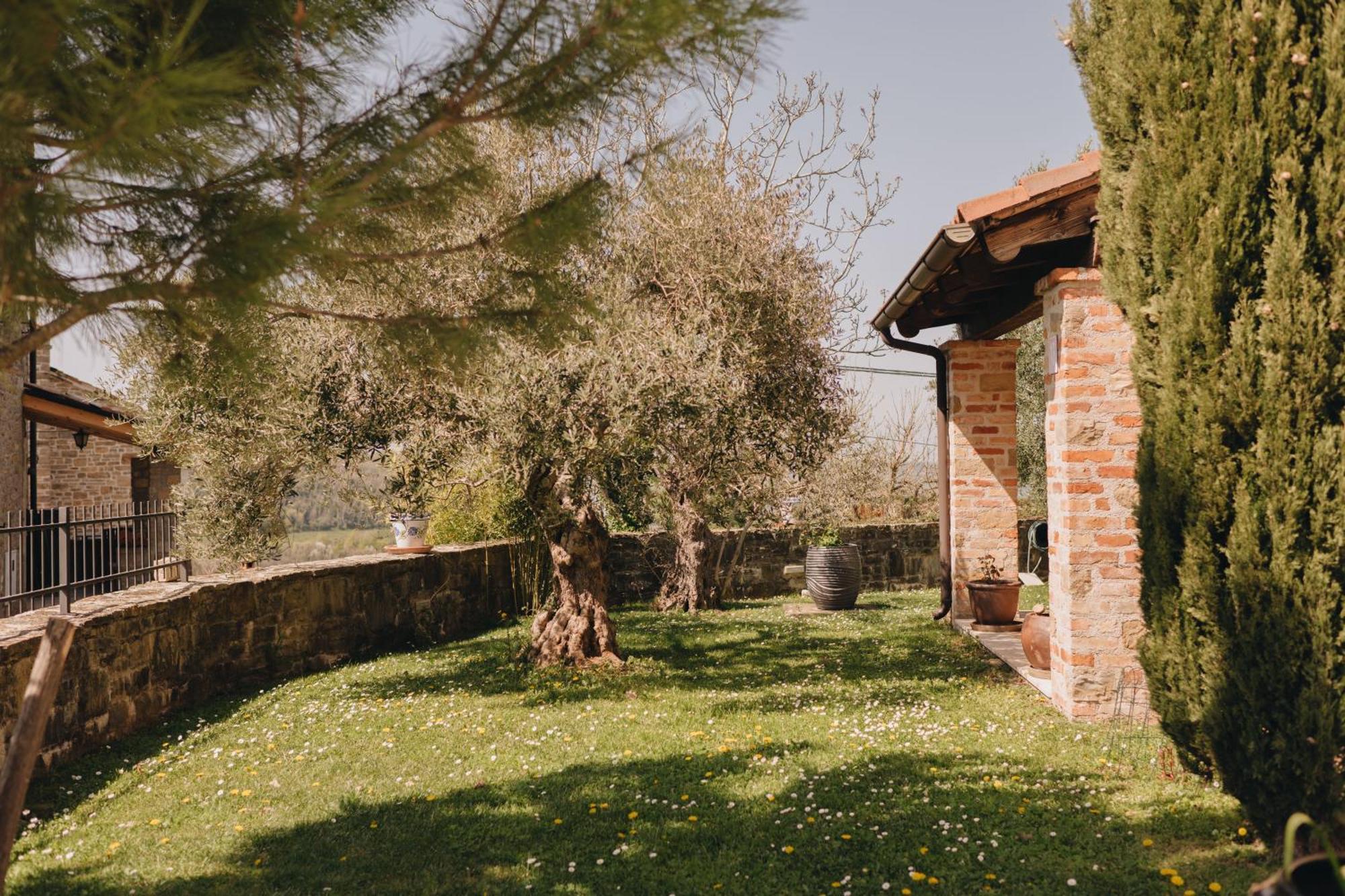 Dreamhill Meloni Villa Motovun Buitenkant foto