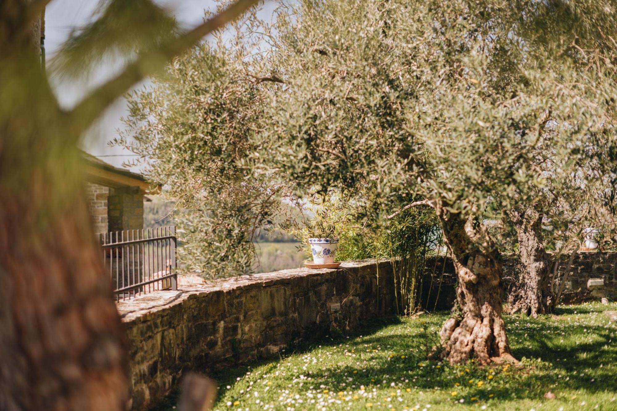 Dreamhill Meloni Villa Motovun Buitenkant foto